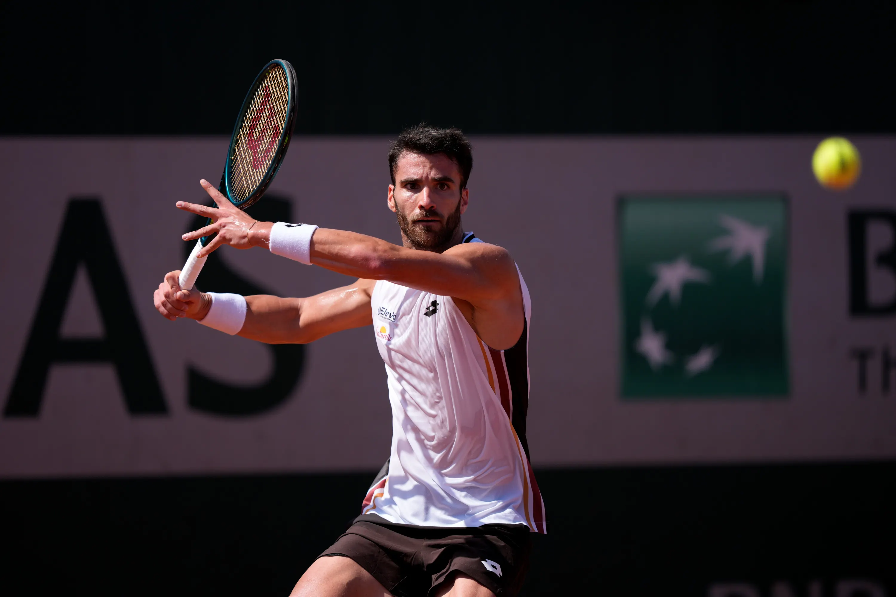 Andrea Pellegrino