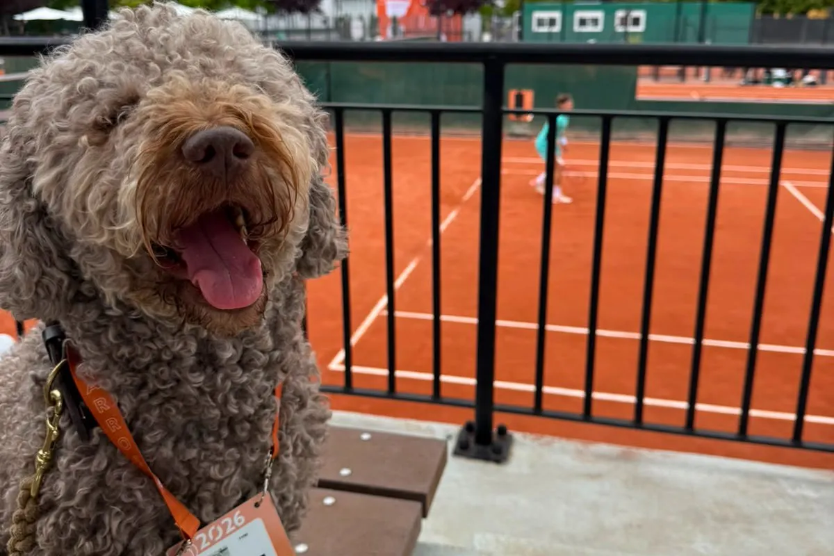 Copain the dog - Roland-Garros 2026 Copain the dog - Roland-Garros 2026