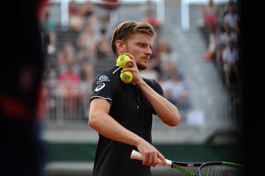 David Goffin