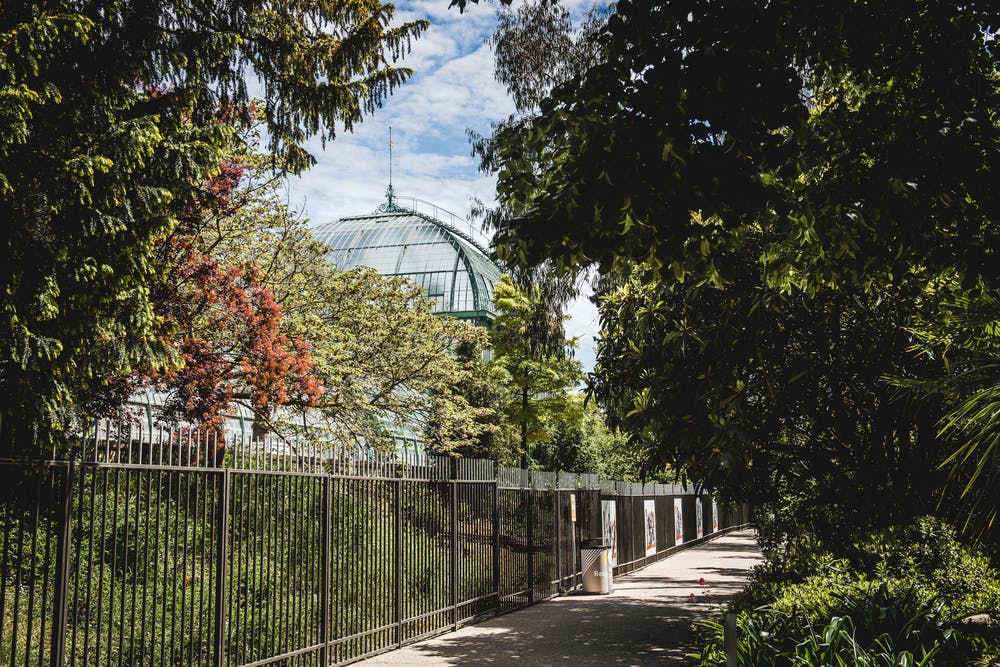 Serres Auteuil Roland-Garros 