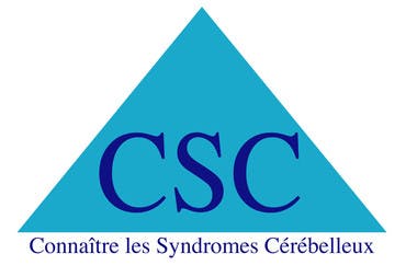 Roland-Garros 2018, Un jour, une association, CSC