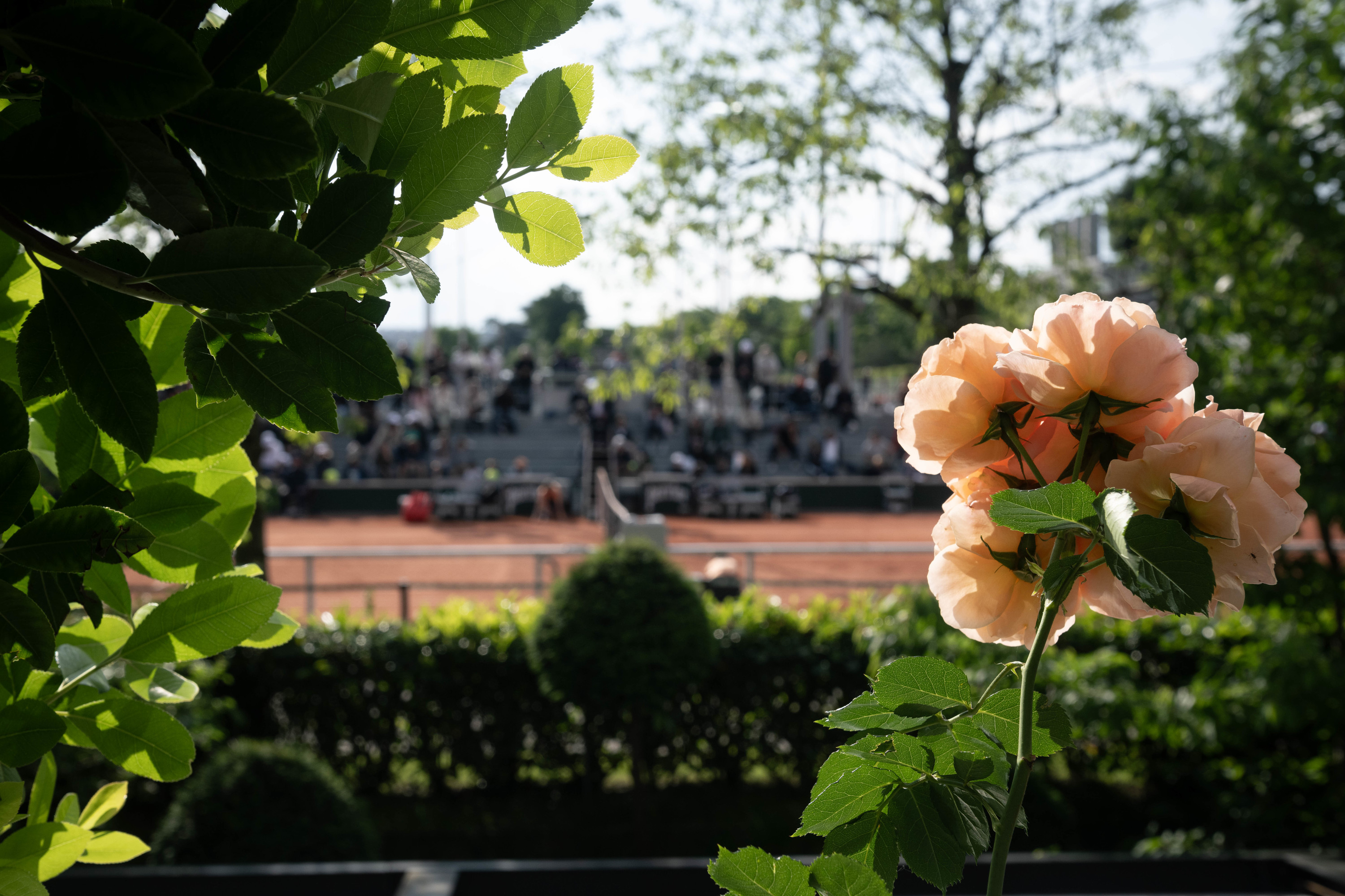 Végétation - Roland-Garros 2024