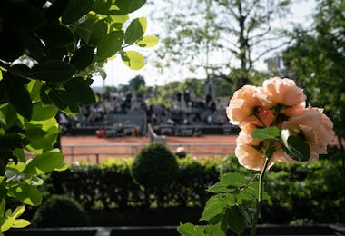 Végétation - Roland-Garros 2024 Végétation - Roland-Garros 2024