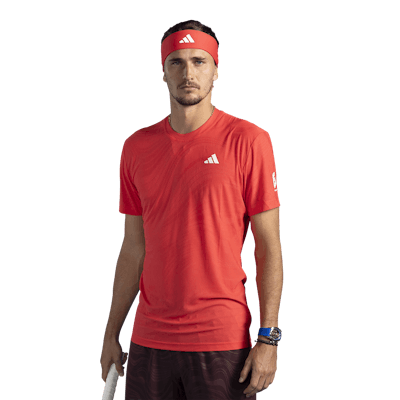 A.ZVEREV player