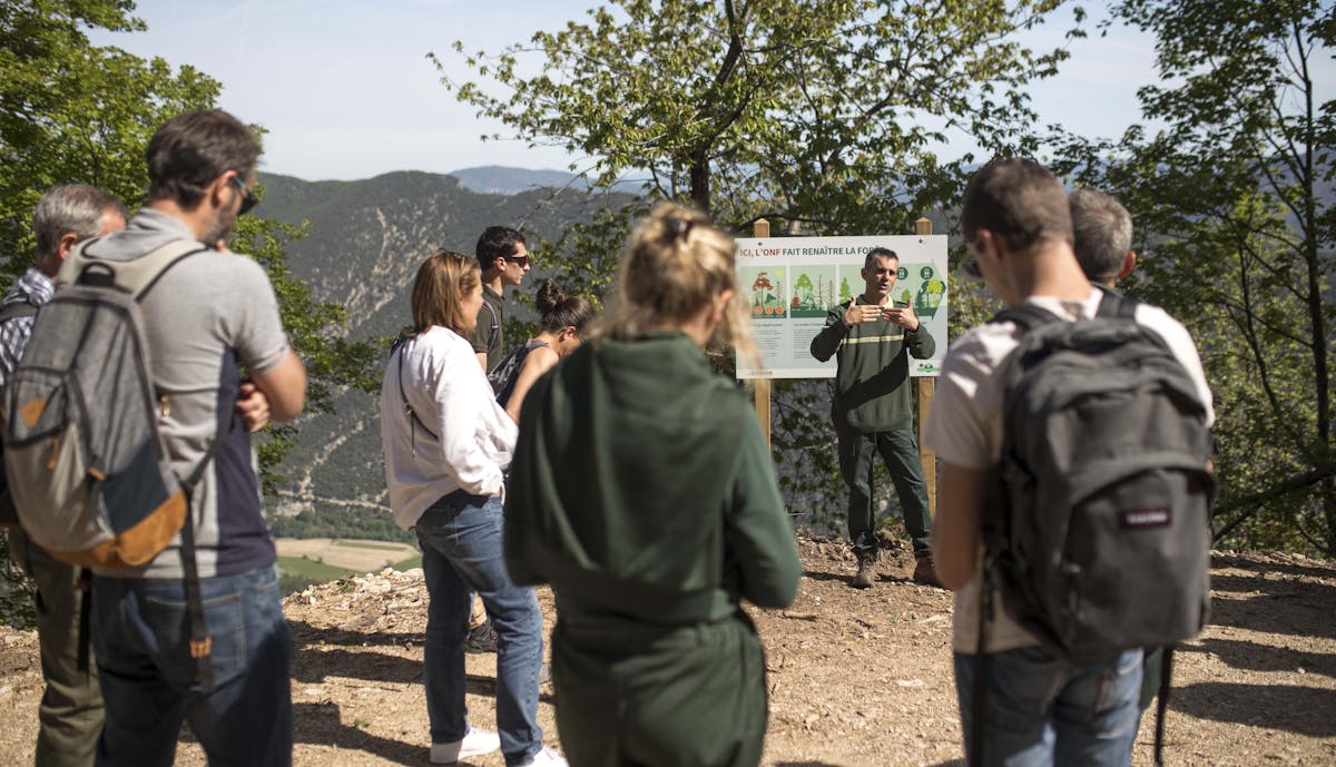 La FFT participe à la plantation de la forêt domaniale du Toulourenc | Fédération française de tennis