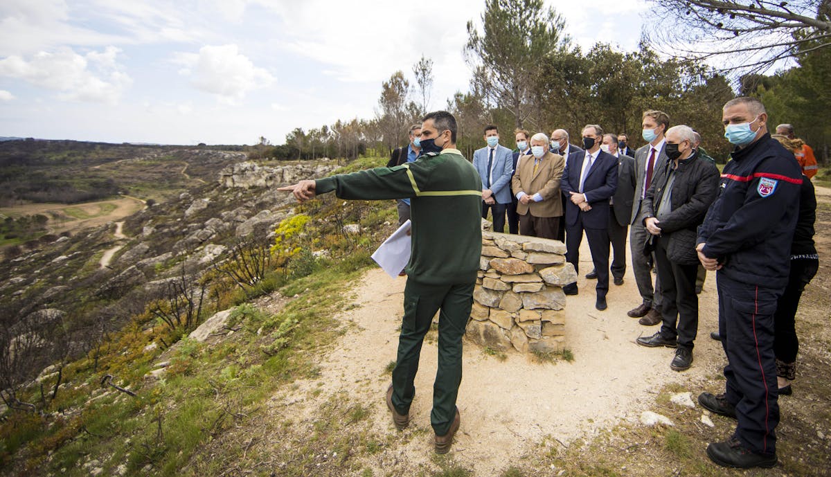 La FFT participe au reboisement de la forêt de Belvédère en Provence-Alpes-Côte d’Azur | Fédération française de tennis