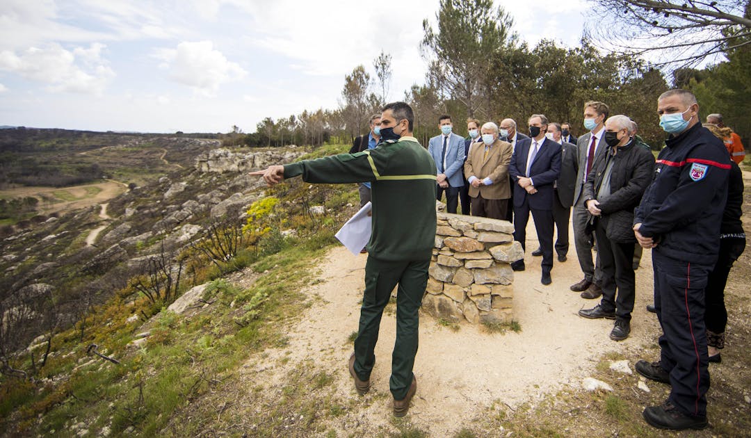 La FFT participe au reboisement de la forêt de Belvédère en Provence-Alpes-Côte d’Azur | Fédération française de tennis