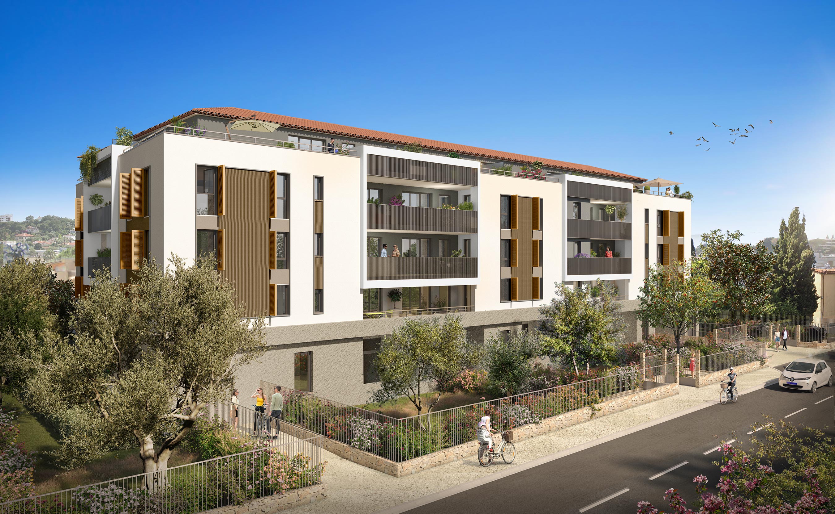 PERSPECTIVE ANGELINA