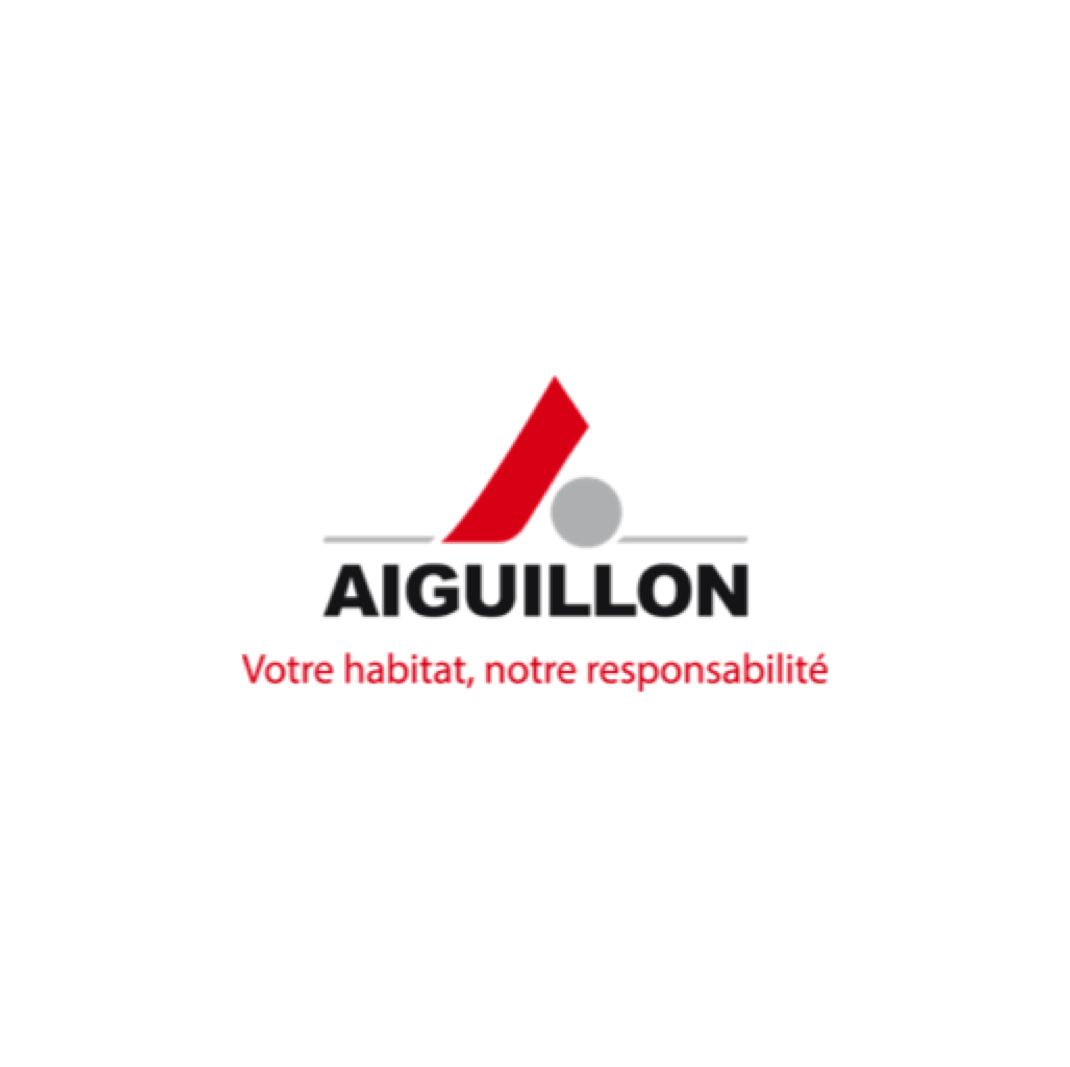 Aiguillon