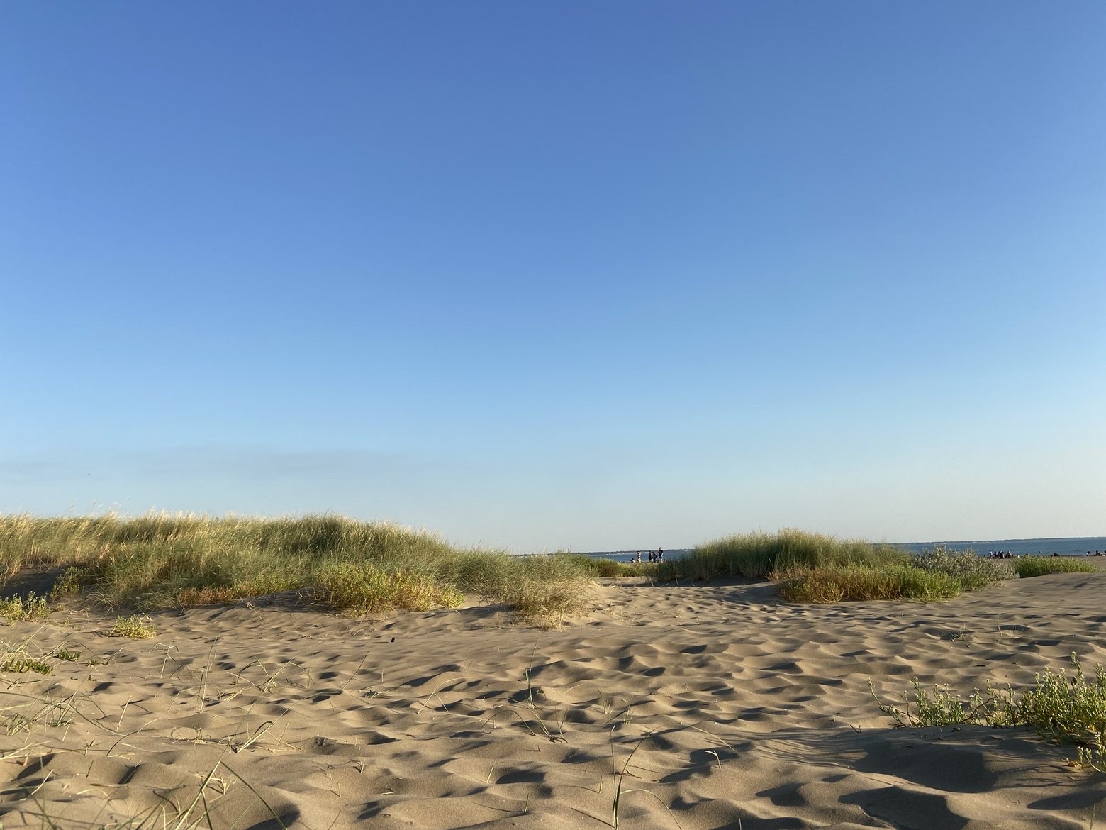 Lancement commercial : Nue-propriété à Saint-Brévin-les-Pins (44)