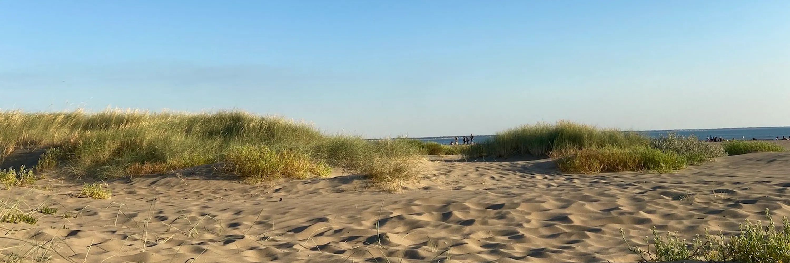 Lancement commercial : Nue-propriété à Saint-Brévin-les-Pins (44)