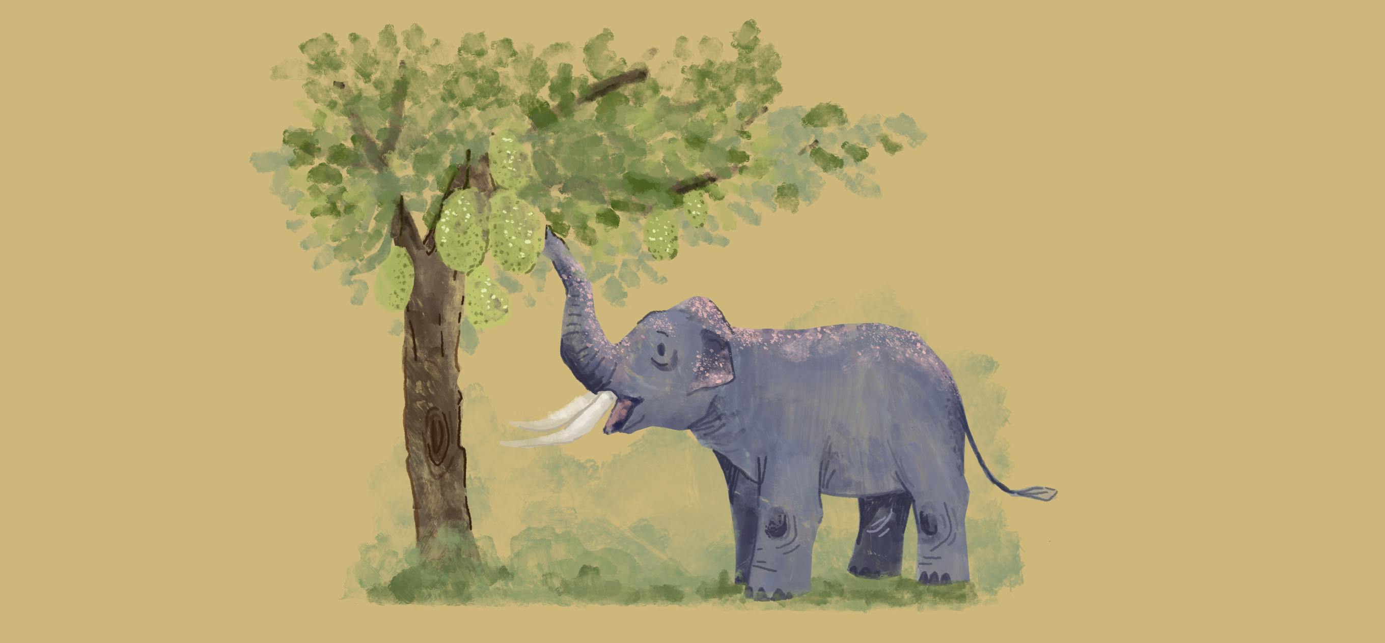 Elephants in the Room by Abhilash Pavuluri; Illustration by Akshaya Zachariah for FiftyTwo.in