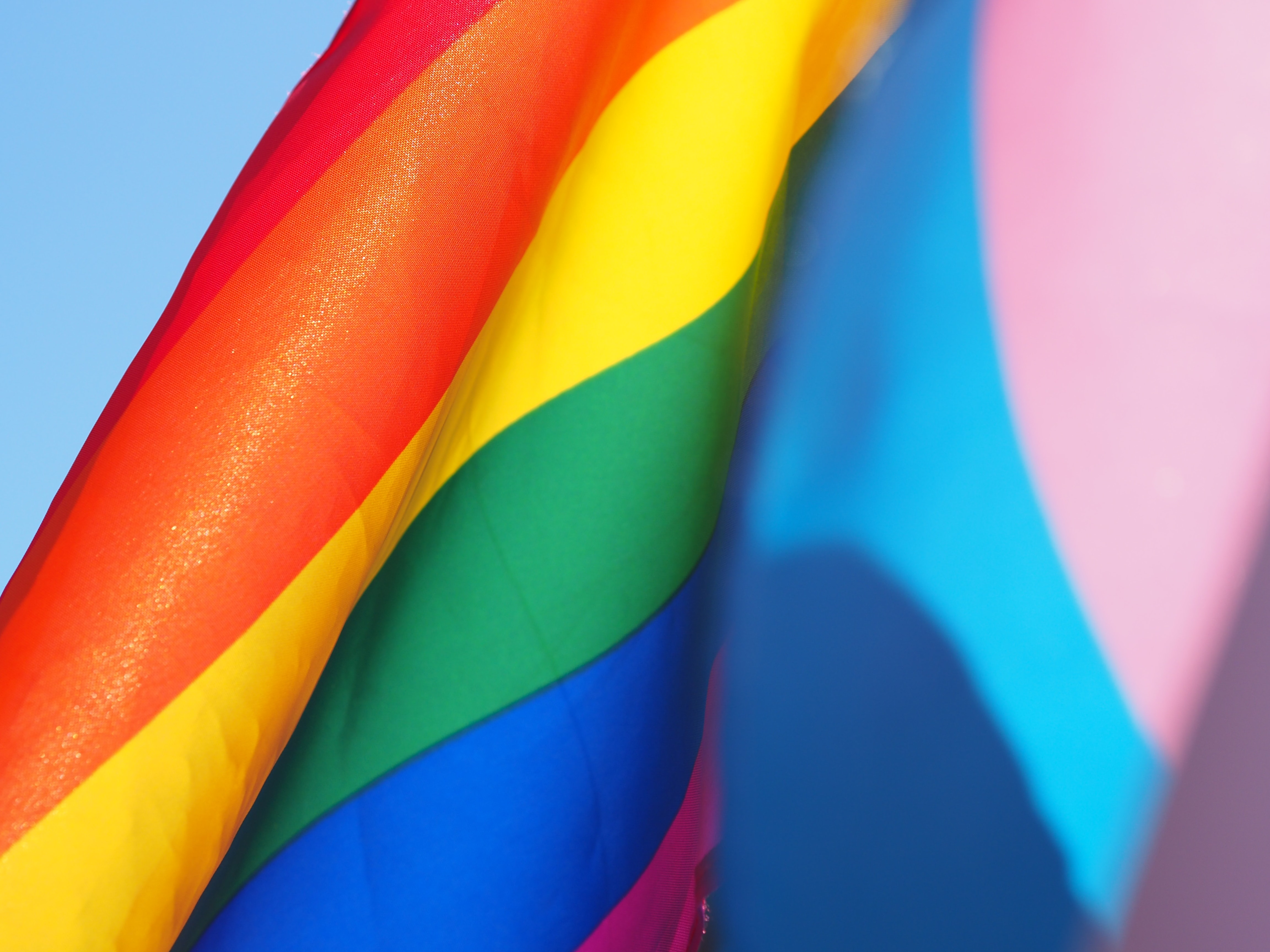 Image of a pride flag