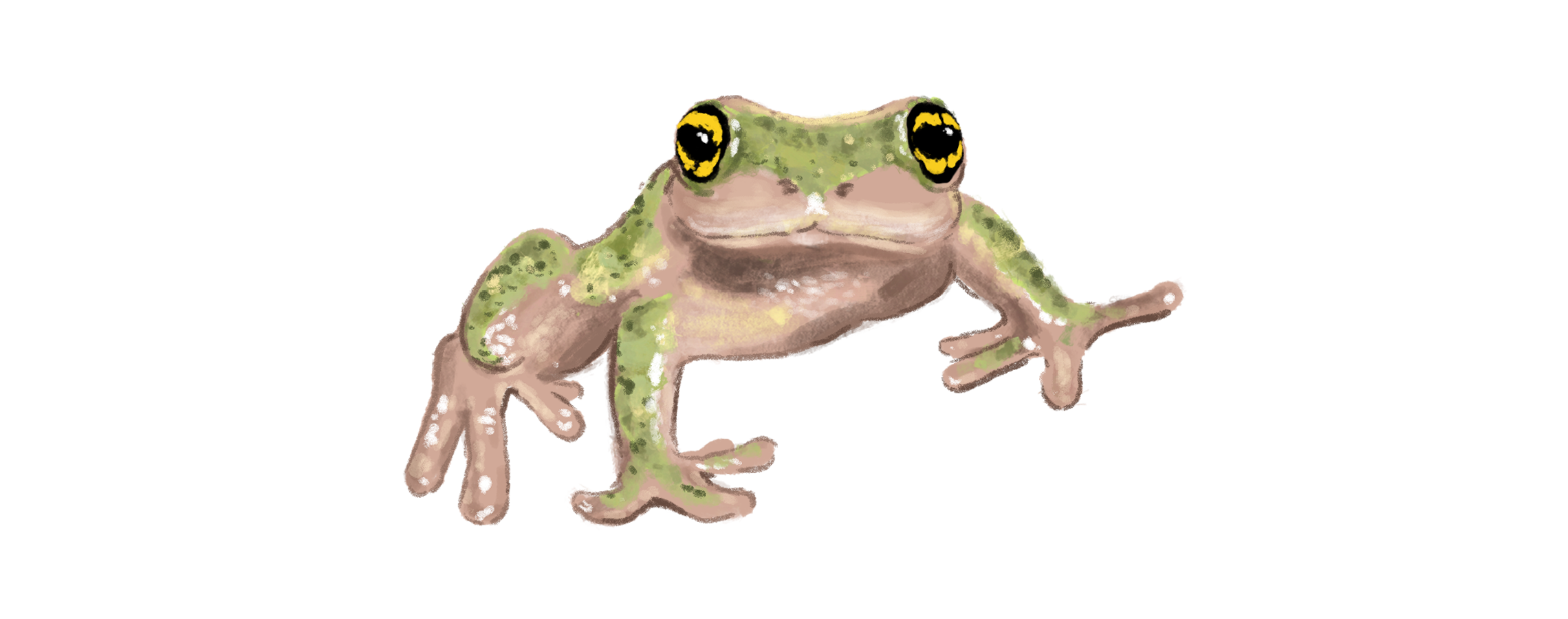 Succession - Aathira Perinchery; Illustration by Akshaya Zachariah