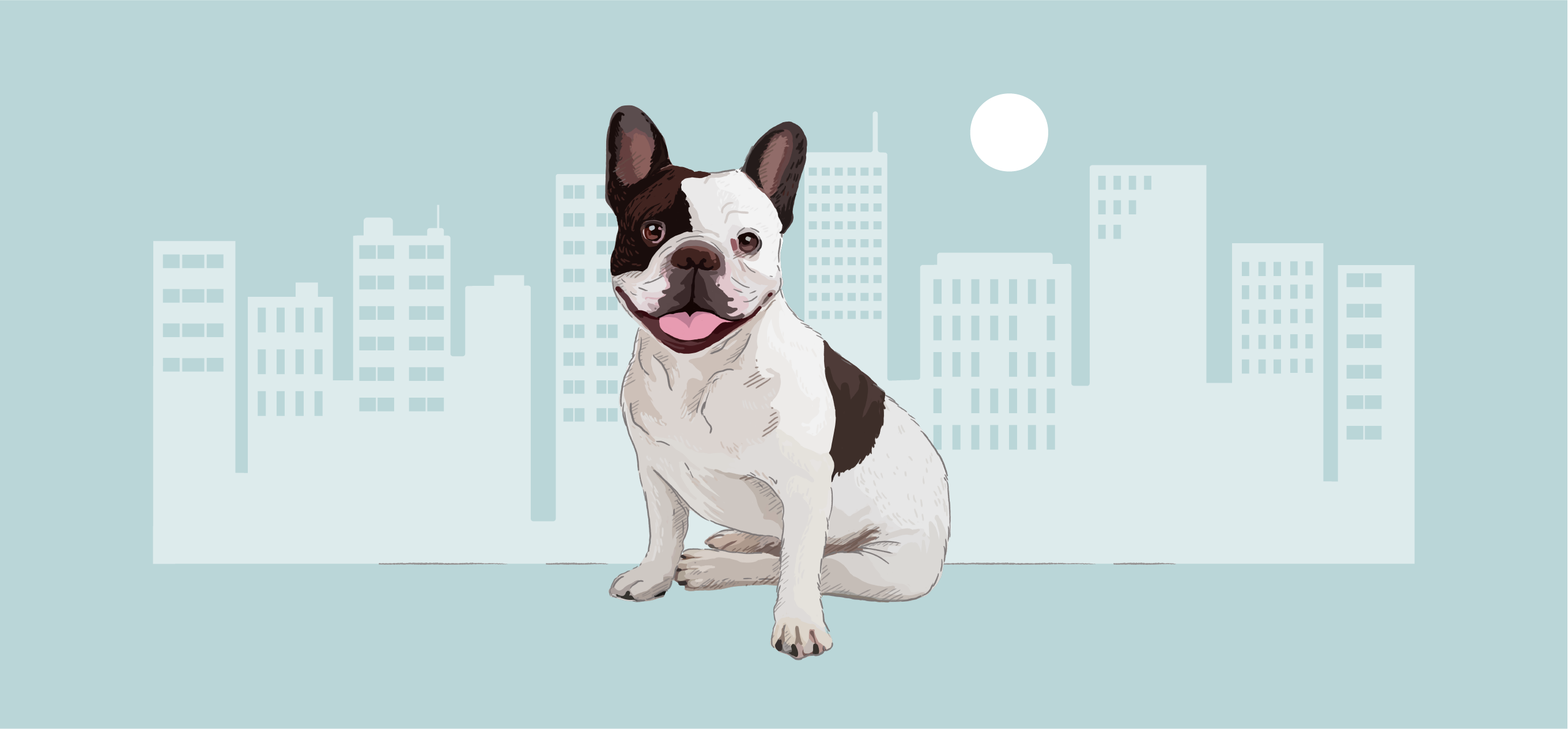 Puppies - A dog’s life in Gurgaon? It’s not for everyone. - Week 6 on Fifty Two