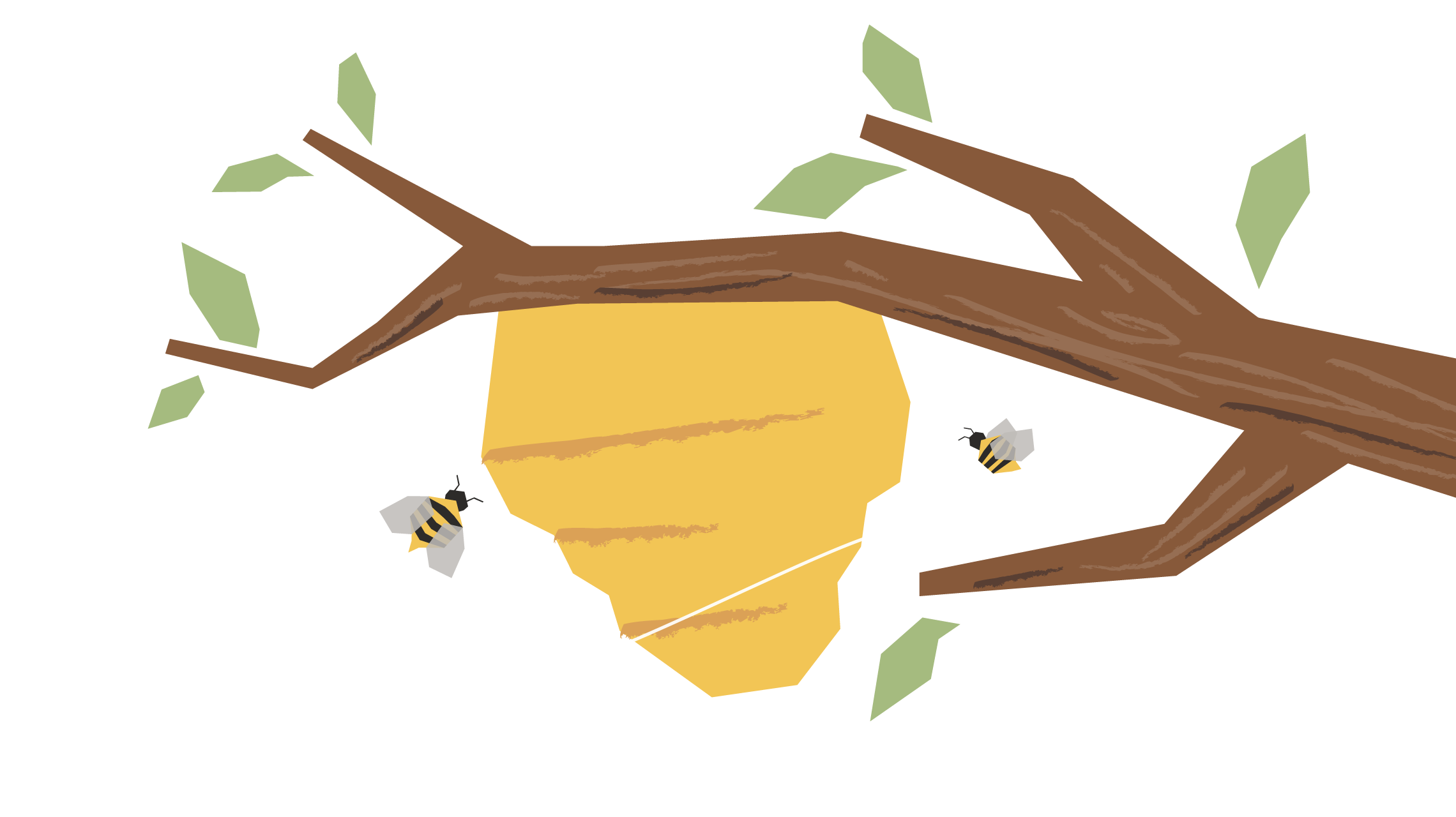 The Woods - by Mohit Rao, illustration by Akshaya Zachariah