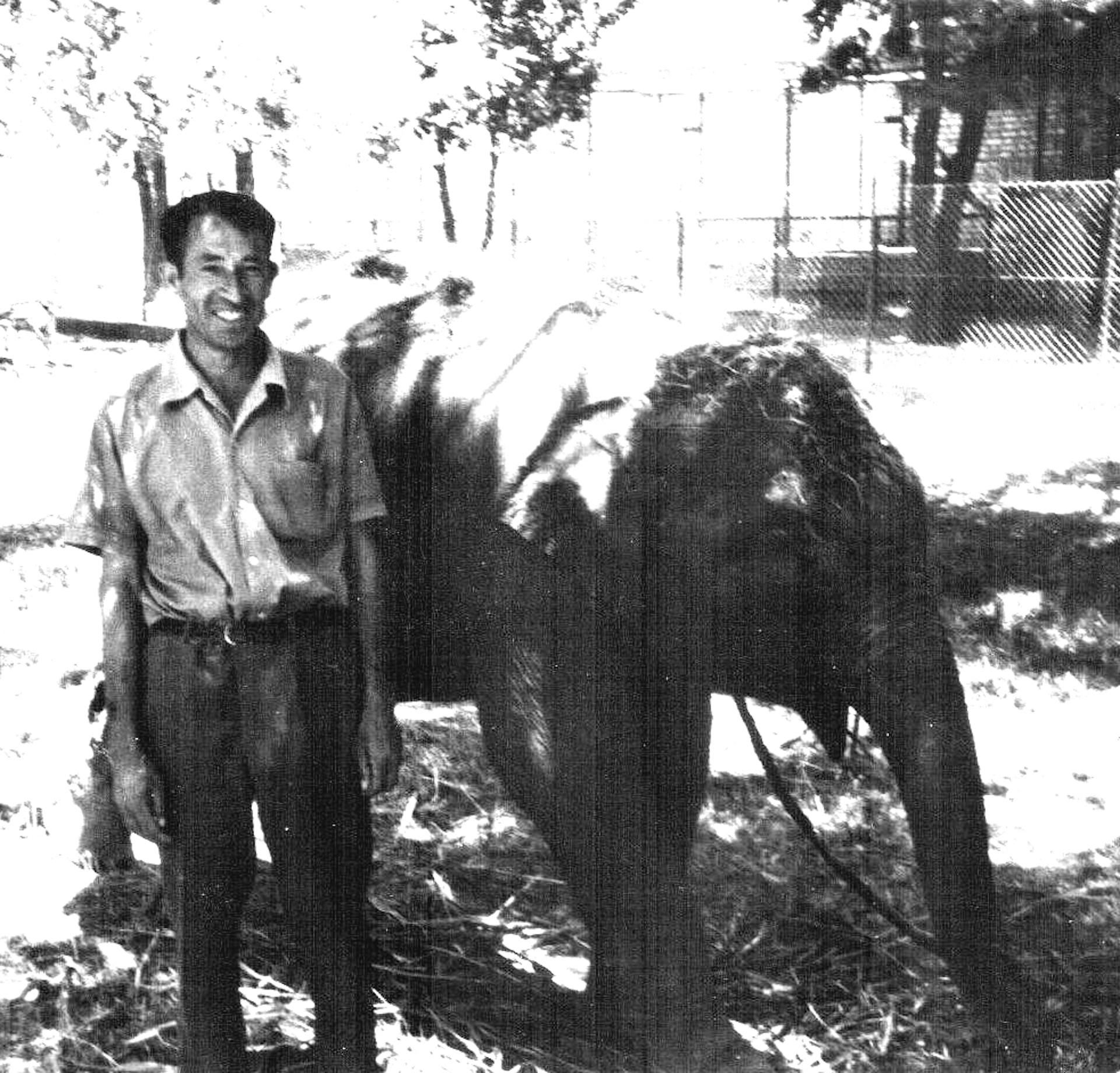 Shehr Mohammad, Gunther Nogge’s friend, posing with Hathi. Courtesy: Gunther Nogge 