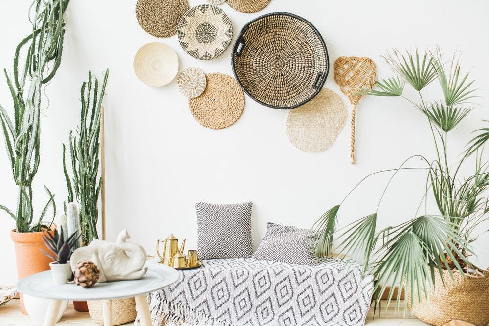 plantes dans un intérieur
