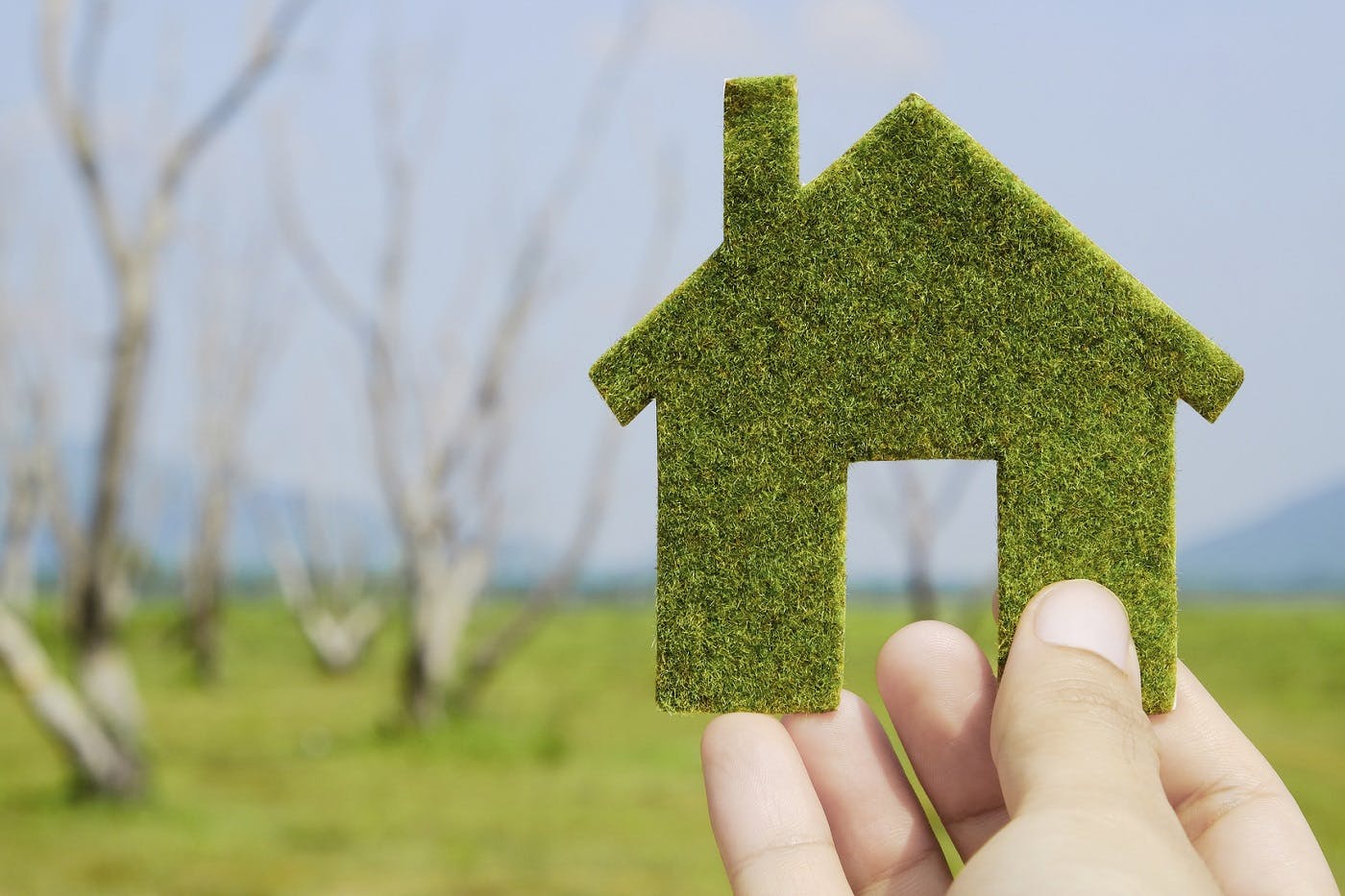 Les logements écologiques bientôt plus grands