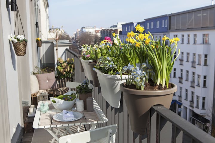 Des plantes d'extérieur pour donner du charme à votre balcon