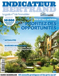 Grenoble et sa région : Nette relance des ventes de logement neuf grâce au Scellier
