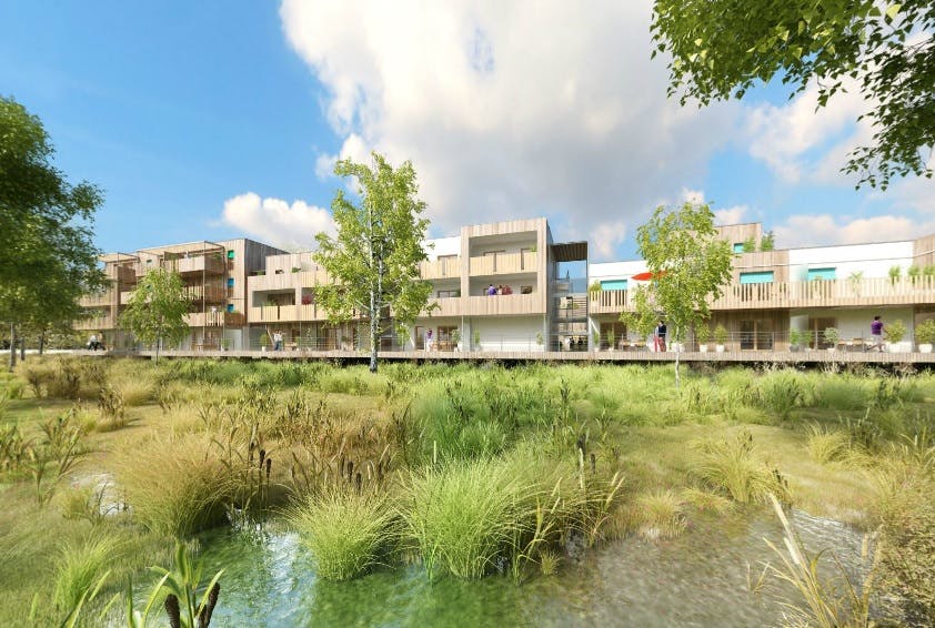 Une île de logements construite en zone inondable