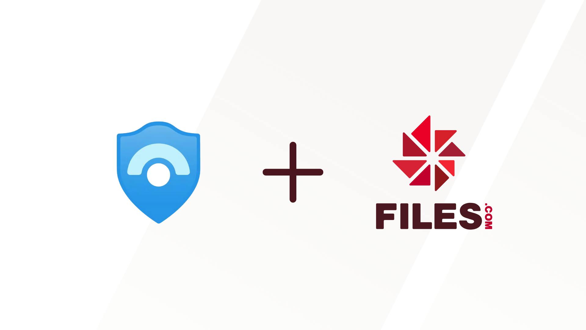 files-and-sentinel-integration