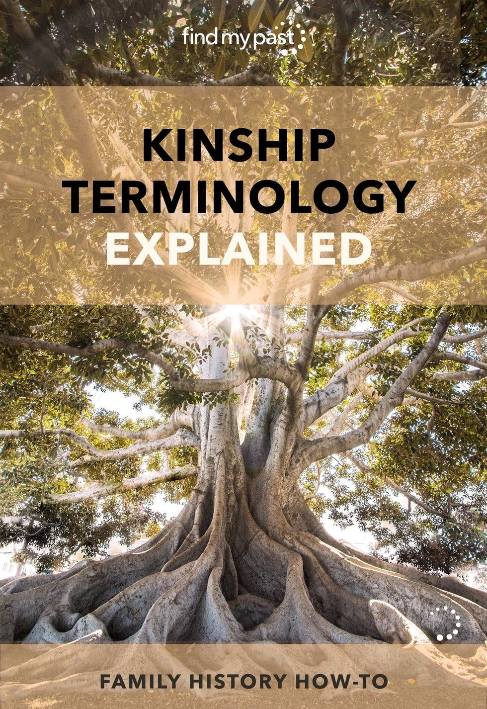 kinship-terminology-explained-or-how-to-know-what-to-call-distant