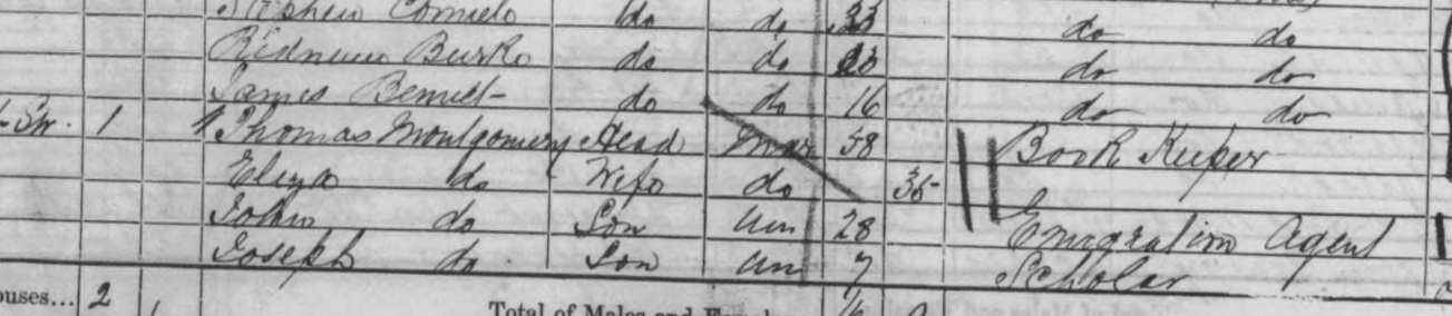 Thomas Montgomery in 1861, possibly the same boy as the one who boarded with the McKellen family.