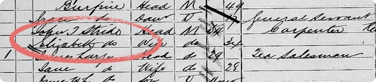 Elizabeth Stride in 1881 UK Census