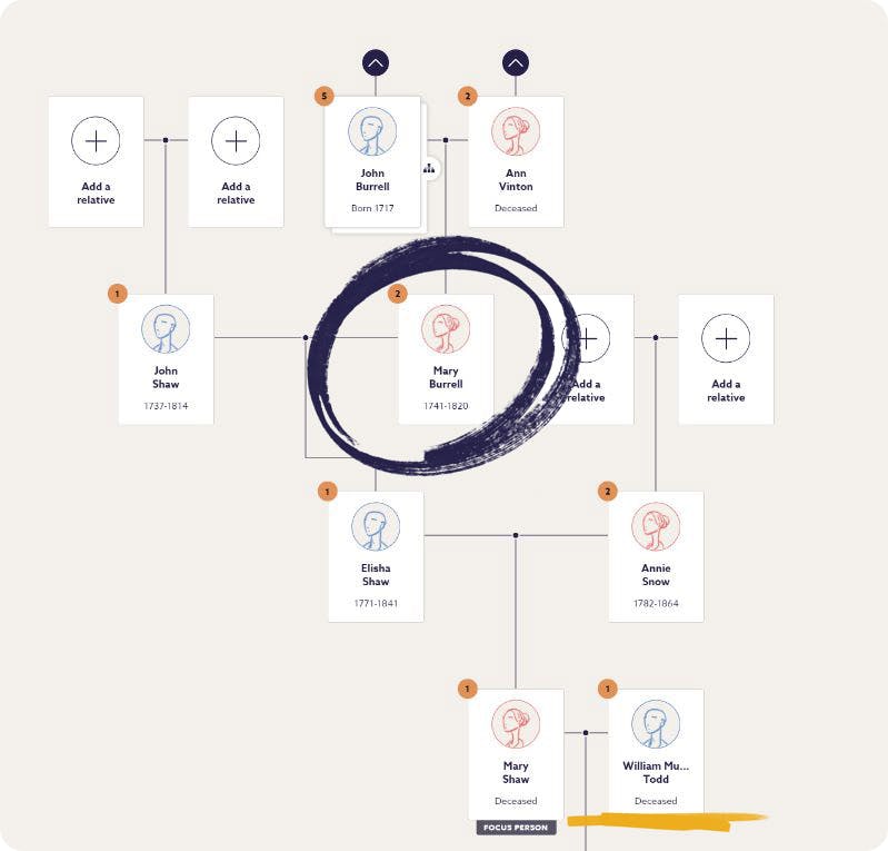 Tamsin Todd ancestry family tree