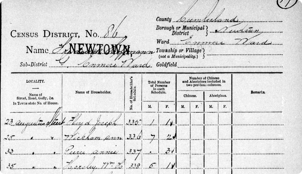 A return from the 1901 Census of New South Wales.