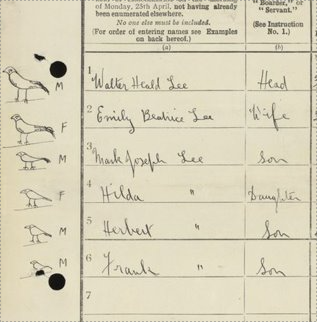 A collection of birds drawn to represent the family on a 1921 Census record.