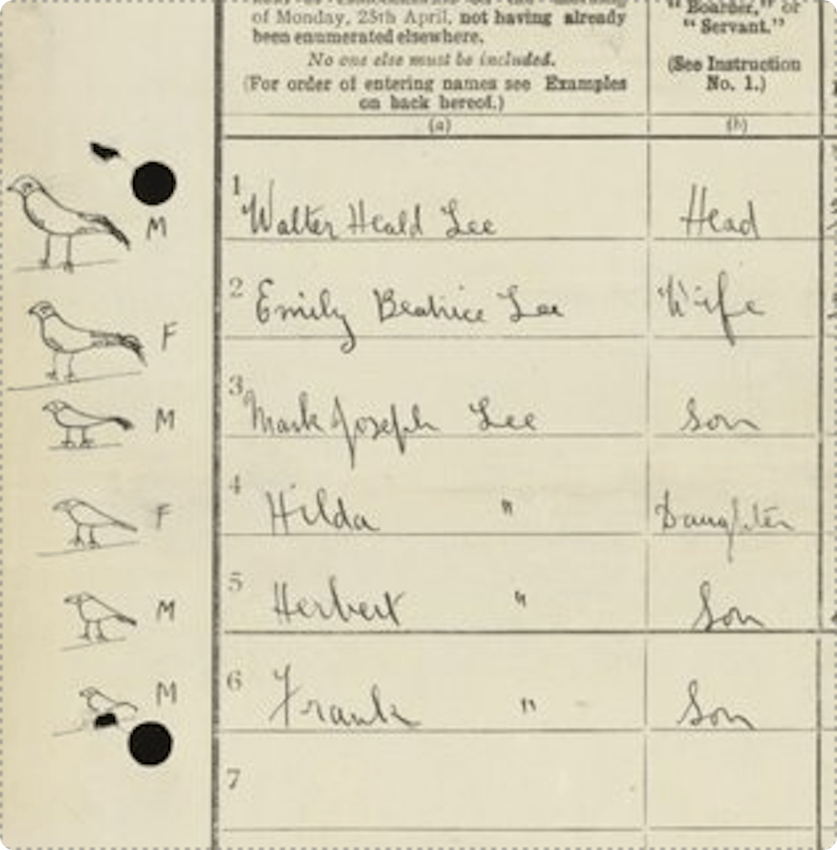 A collection of birds drawn to represent the family on a 1921 Census record.