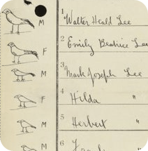 A collection of birds drawn to represent the family on a 1921 Census record.