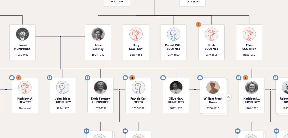 family genogram