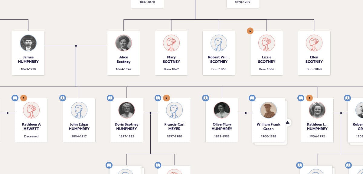 harry styles family tree