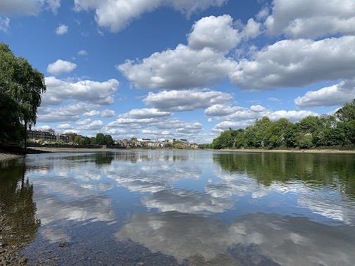 How a mysterious dog tag recovered from the River Thames was traced ...