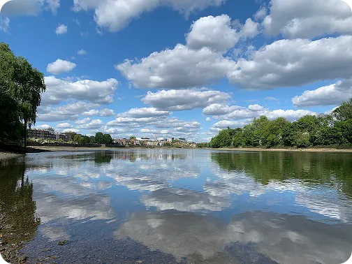River Thames in Barnes