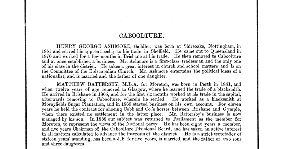 A snippet from the detailed Aldine History of Queensland.