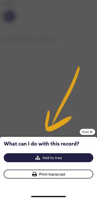 Download records in the Findmypast app