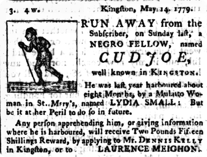 The Jamaica Mercury and Kingston Weekly Advertiser (later known as the Royal Gazette of Jamaica).