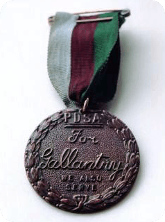 Dickin Medal