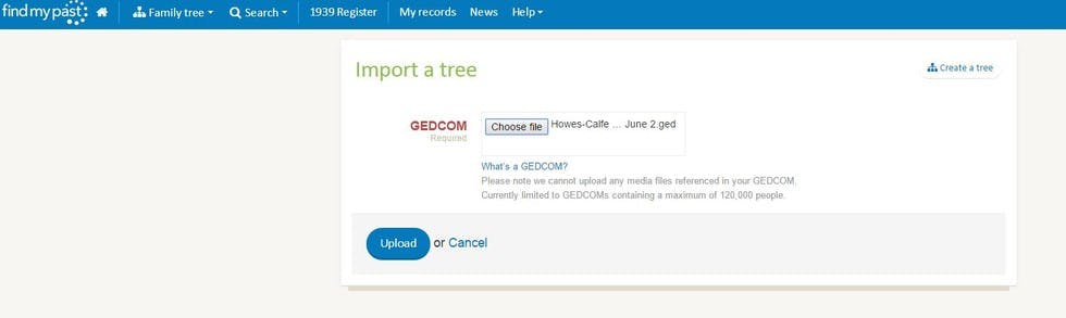 upload-family-tree-gedcom-image
