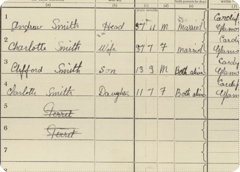 A 1921 Census record with 2 ferrets crossed out. 