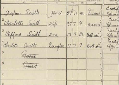 A 1921 Census record with 2 ferrets crossed out. 