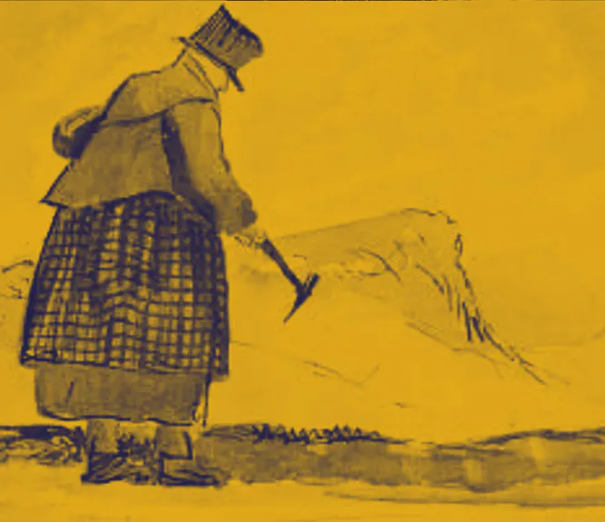 Mary Anning fossils
