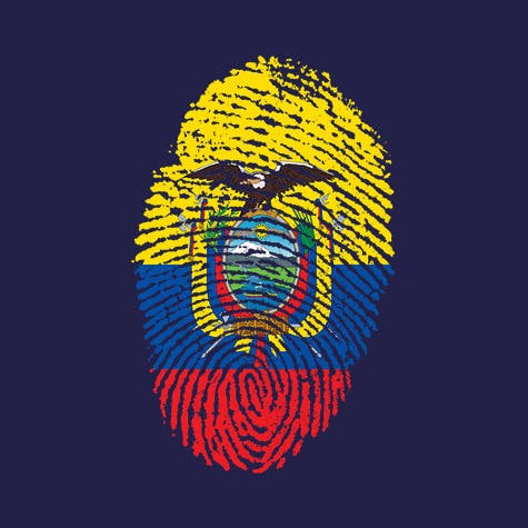 Illustration of a fingerprint coloured with the Ecuadorian flag
