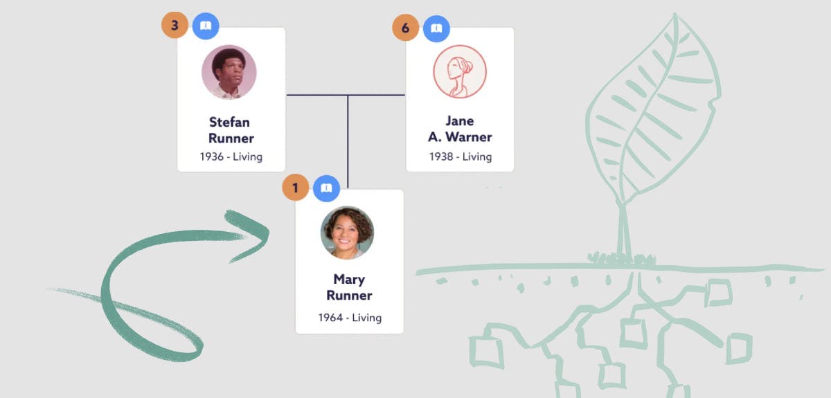 Findmypast family tree hints