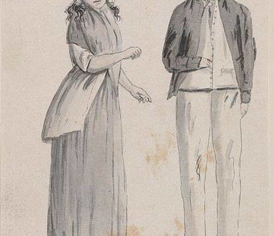 new-convict-records-added-header